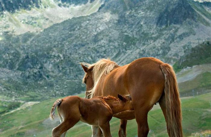 Cristina de Middel, Premio Nacional de Fotografía 2017
