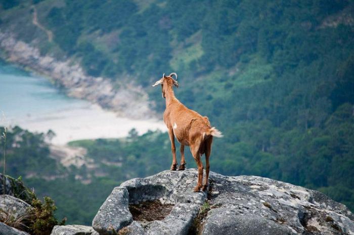 Cristina de Middel, Premio Nacional de Fotografía 2017