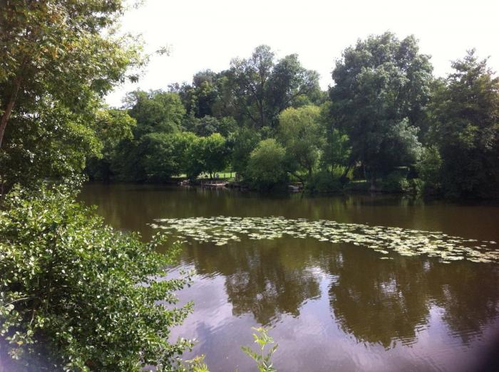 5 razones para ir a Nantes (FOTOS)