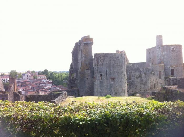 5 razones para ir a Nantes (FOTOS)