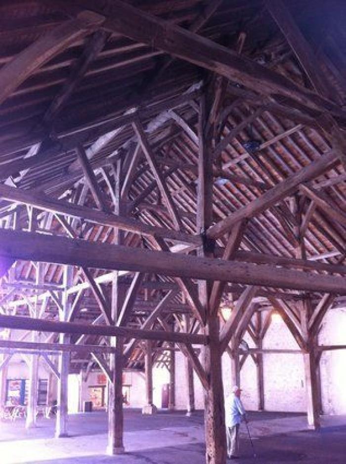 5 razones para ir a Nantes (FOTOS)