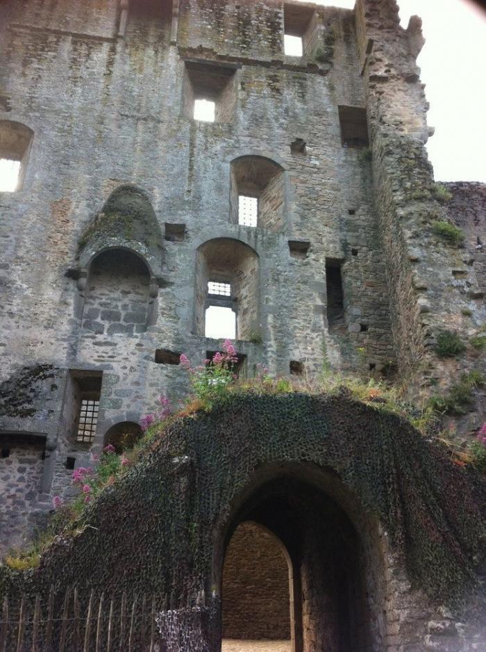 5 razones para ir a Nantes (FOTOS)