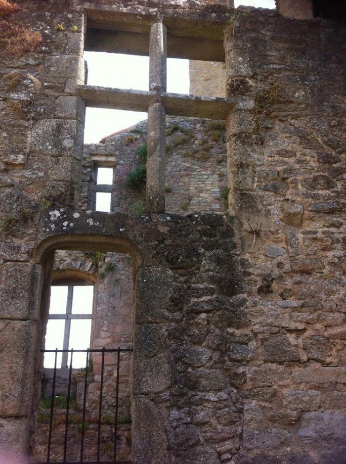 5 razones para ir a Nantes (FOTOS)