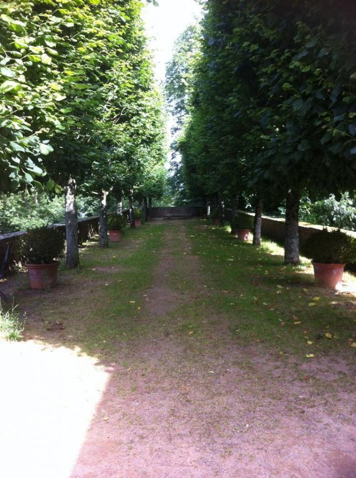 5 razones para ir a Nantes (FOTOS)