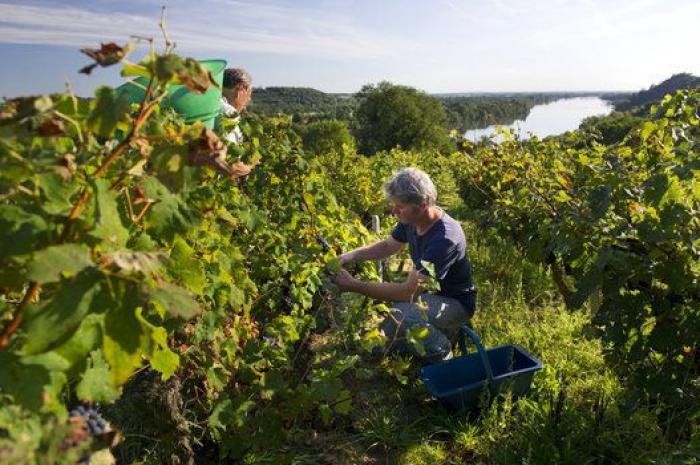 5 razones para ir a Nantes (FOTOS)