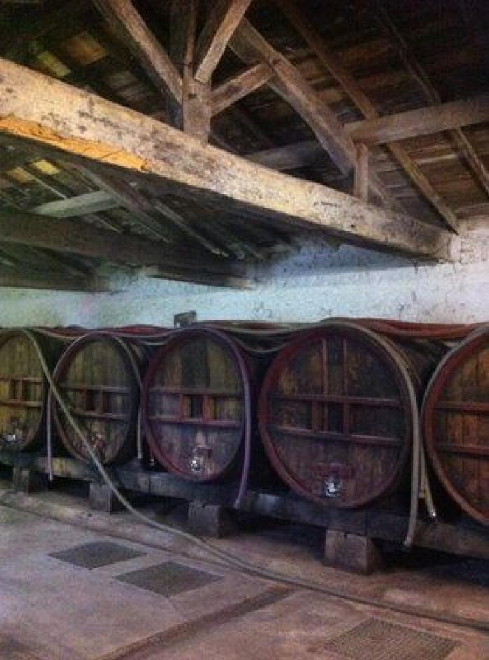 5 razones para ir a Nantes (FOTOS)