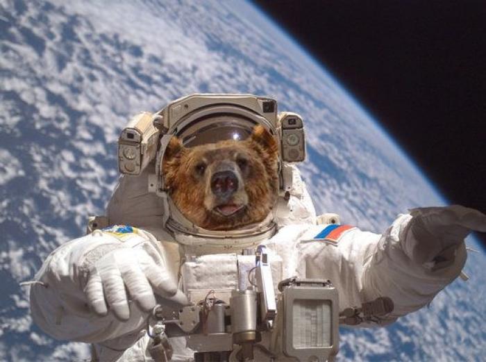 El oso y los montajes que entretuvieron a Reddit una tarde de verano