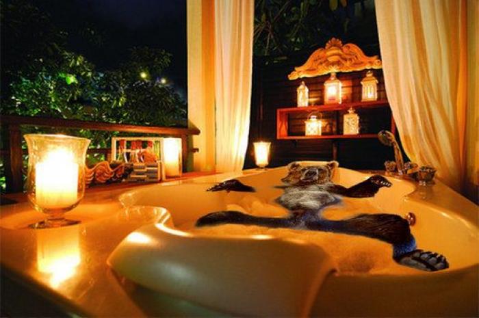 El oso y los montajes que entretuvieron a Reddit una tarde de verano