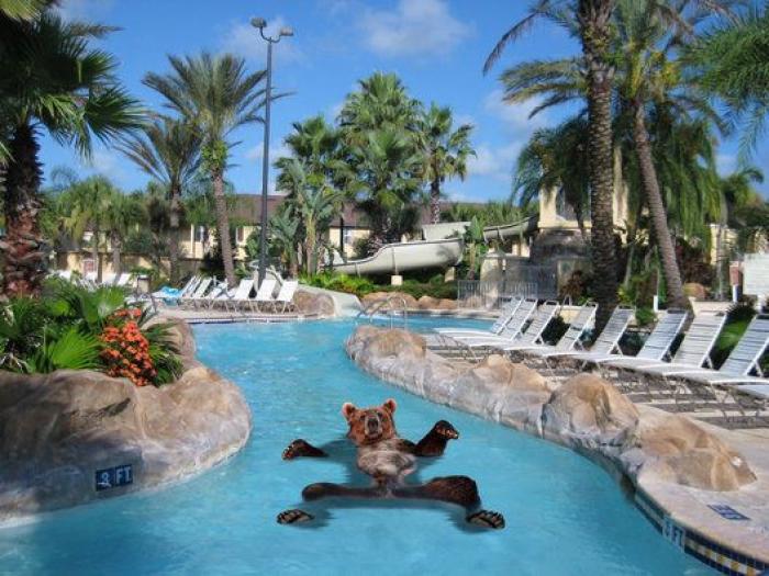 El oso y los montajes que entretuvieron a Reddit una tarde de verano