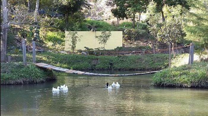 Las mejores piscinas termales para chapuzones de invierno (FOTOS)