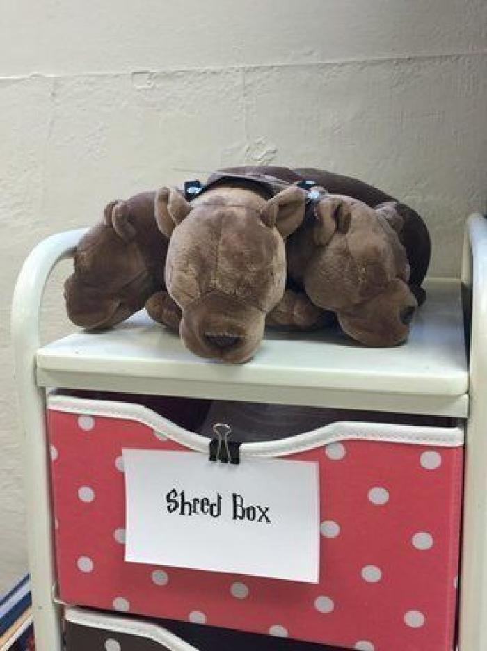 Se masca la tragedia para los fans de 'Harry Potter' y de 'Animales Fantásticos'