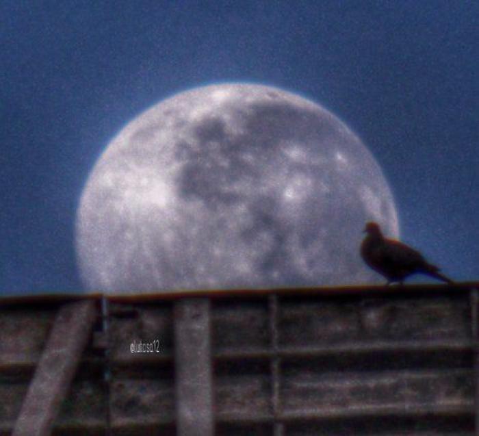 Tercera superluna del verano: las mejores fotos de la luna de septiembre (FOTOS)