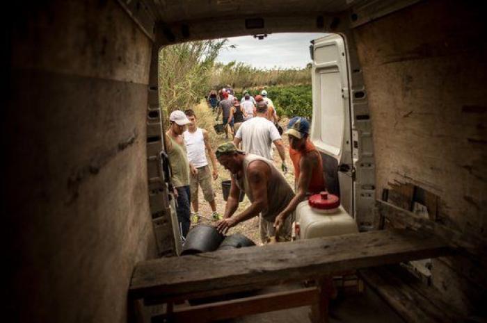 La vida de los españoles en la vendimia francesa, en 27 fotones