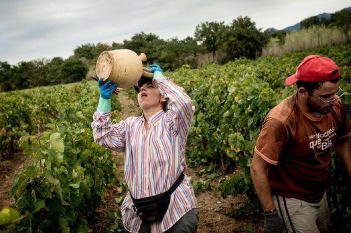 La vida de los españoles en la vendimia francesa, en 27 fotones