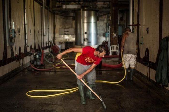 La vida de los españoles en la vendimia francesa, en 27 fotones