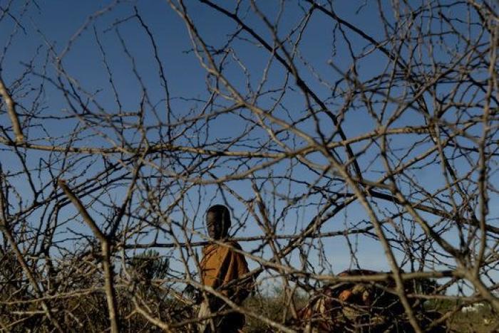 Un grupo de fotoperiodistas vende sus imágenes para ayudar a los refugiados