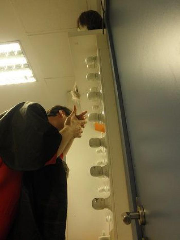 Botella, sobre la venta de viviendas públicas a un fondo de inversión: "Se respetaron los derechos de los inquilinos"