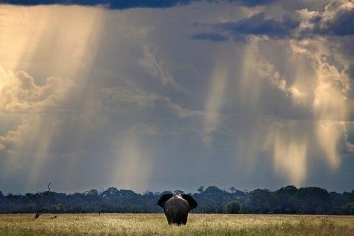 Naturaleza Insólita: siete años viajando por lugares remotos, inaccesibles y extremos (FOTOS)