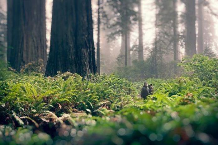 Naturaleza Insólita: siete años viajando por lugares remotos, inaccesibles y extremos (FOTOS)