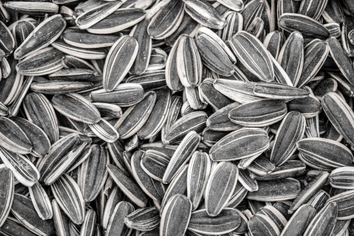 El Consejo de Ministros aprueba el anteproyecto de ley para evitar el desperdicio de alimentos