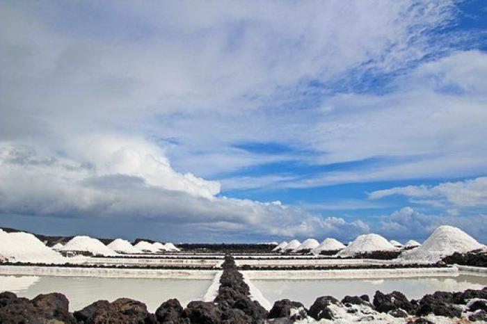 Sellada de sal y vestida de fuego: La Punta de Fuencaliente