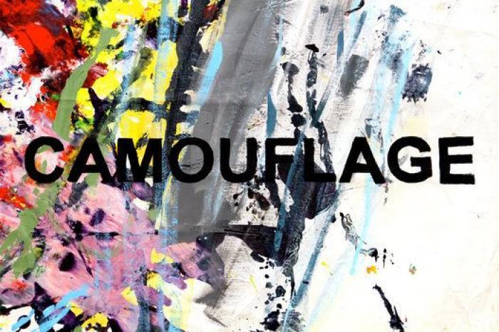 Animal Maker: Proyecto Camouflage