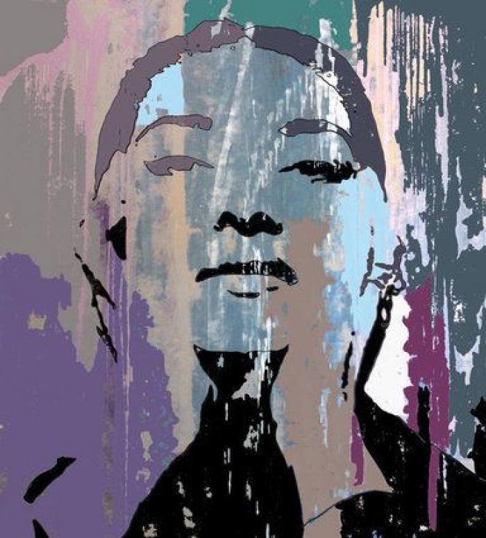 Animal Maker: Proyecto Camouflage