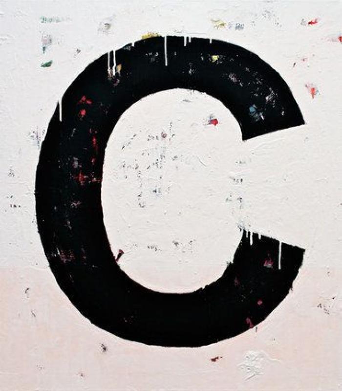 Animal Maker: Proyecto Camouflage