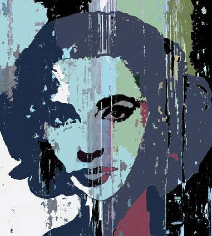 Animal Maker: Proyecto Camouflage