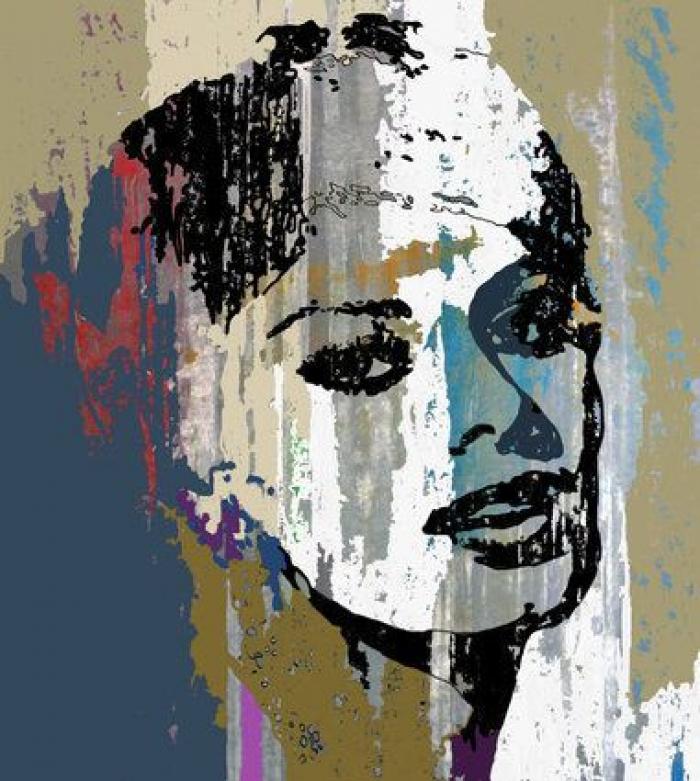 Animal Maker: Proyecto Camouflage