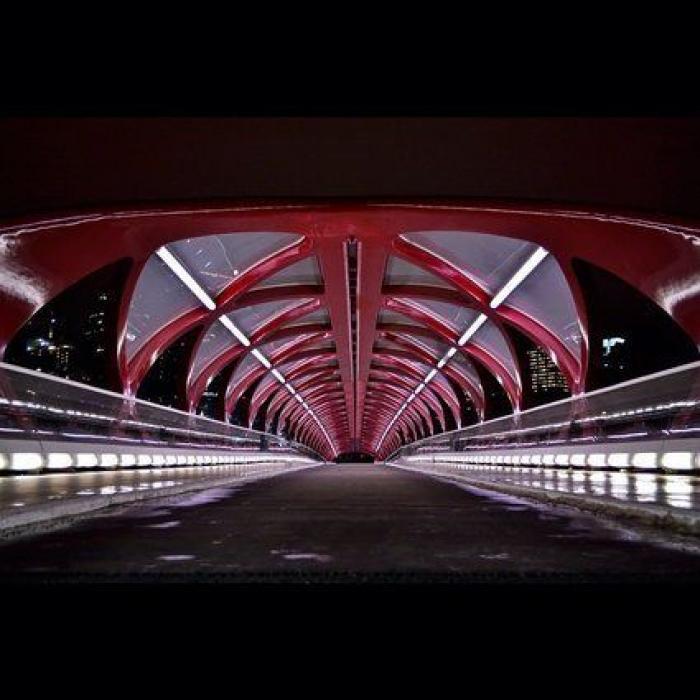 Puentes, pasos y viaductos: fotos de arquitectura para disfrutar (FOTOS)