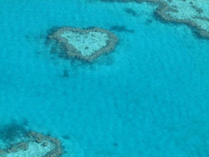 Fiestones en calas protegidas: la moda que pone en peligro los rincones más valiosos de la Costa Brava