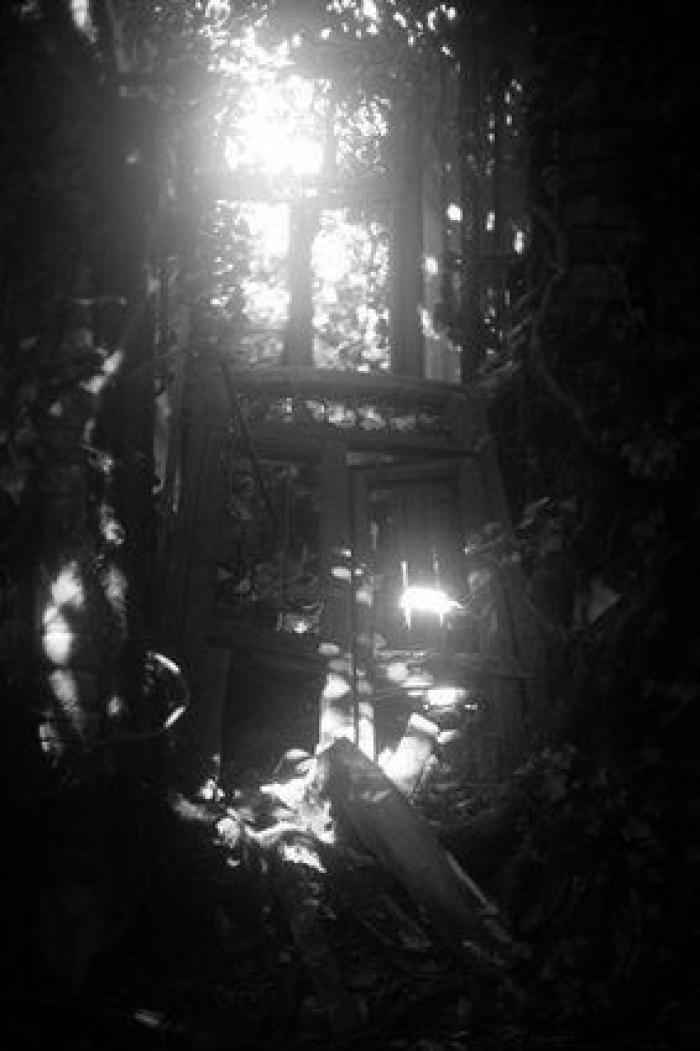 Diez fotógrafos españoles, entre los finalistas de los Sony World Photography Awards 2015 (FOTOS)