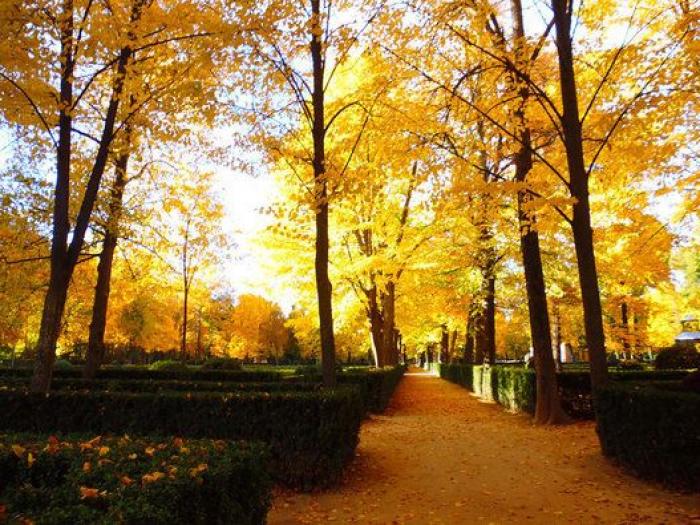 Cuándo empieza el Black Friday en Zara, Mango, Amazon o El Corte Inglés