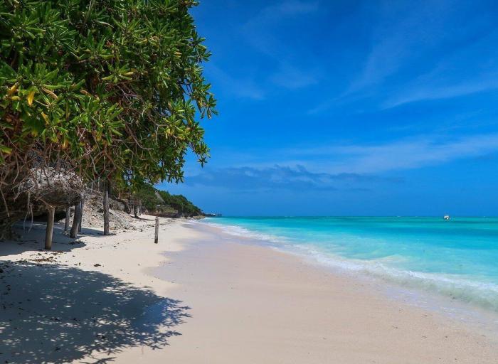 La Guardia Civil se lleva el aplauso en Twitter al compartir este cartel