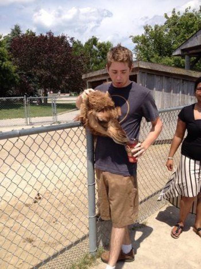 17 fotos de animales que te obligarán a echarles un segundo vistazo