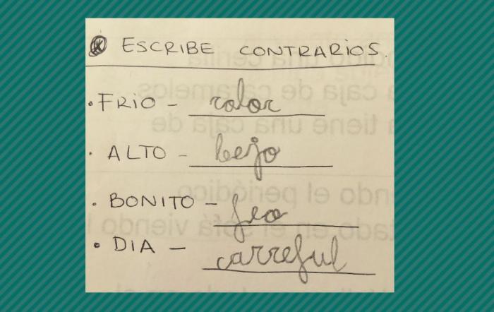 La respuesta de un niño a un simple ejercicio de clase va camino de hacer historia en Twitter
