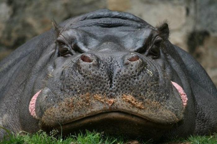 La aplicación que tienes que instalar en tu móvil si viajas en grupo