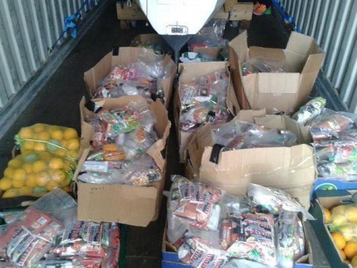 Españoles que han cruzado el Atlántico a remo: "En mitad del océano hay mucha vida"