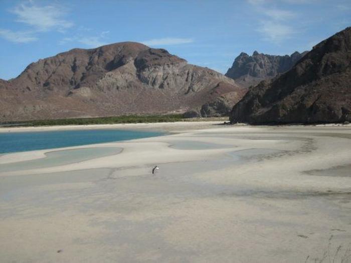 Estos son los destinos que se pondrán de moda en 2017, según TripAdvisor