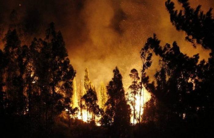 Las impresionantes imágenes del incendio de Valparaíso, en Chile (FOTOS)