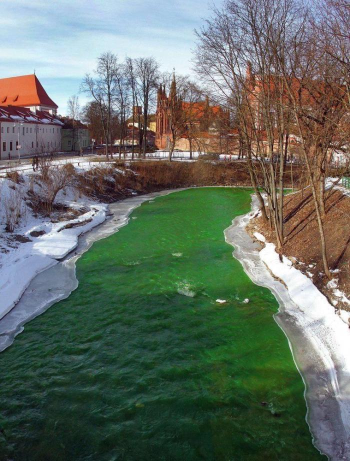 Fiesta de San Patricio: guía práctica para sacarle el máximo