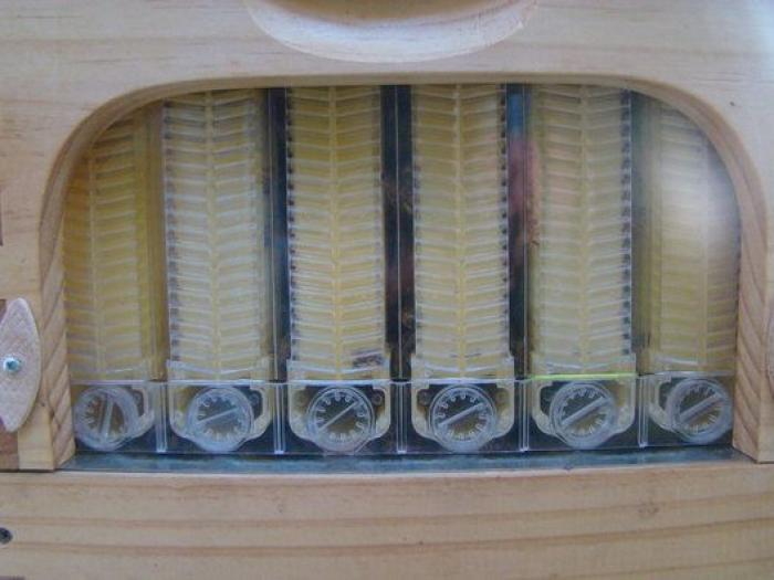 Flow Hive, un invento para obtener miel sin tener que estresar ni que llenar de humo a las abejas