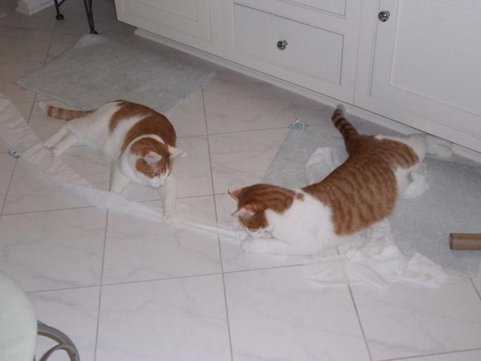 ¡Fin del debate! Así dice la patente que se debe colocar el rollo de papel higiénico