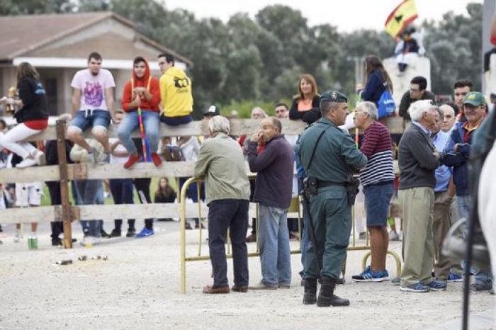El Constitucional avala por unanimidad la prohibición de matar al Toro de la Vega