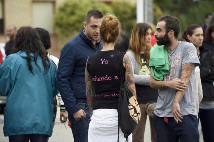 El Constitucional avala por unanimidad la prohibición de matar al Toro de la Vega