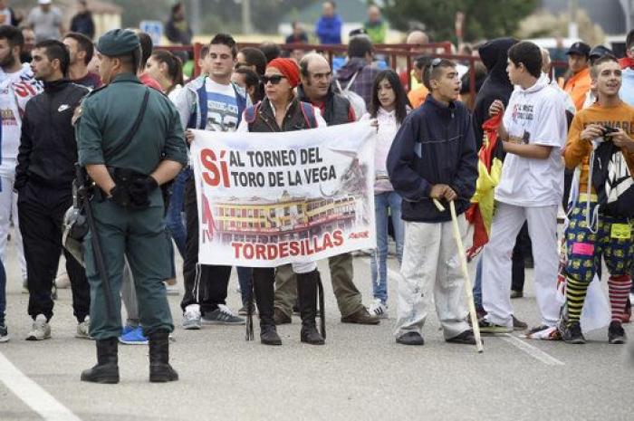 El Constitucional avala por unanimidad la prohibición de matar al Toro de la Vega