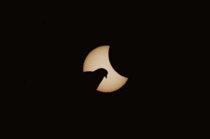 Las mejores imágenes del eclipse solar de 2015 (FOTOS)