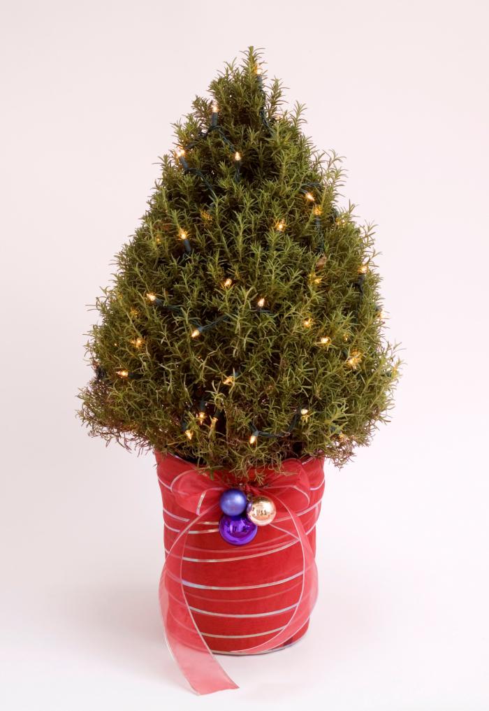 El adorno de Navidad viral que se puede hacer con el churro de la piscina