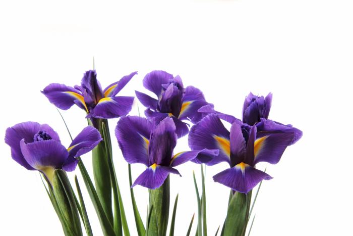 El adorno de Navidad viral que se puede hacer con el churro de la piscina